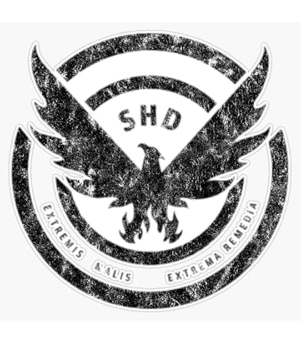 Amazon.com: LAD Studio The Division SHD Logo Distressed Orange